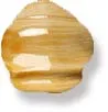 Вставка Ang.Remate Curvo Maqueda Ocre
