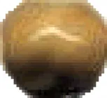 Спец. элемент Angulo Tarpan Ocre
