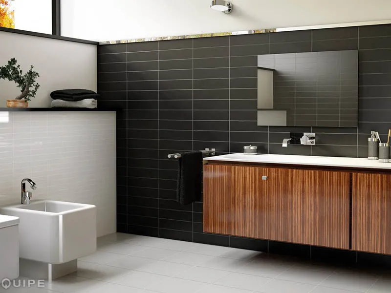Керамическая плитка EVOLUTION от производителя Equipe Ceramicas –  фото