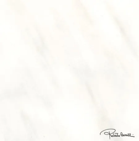 Керамогранит Tanduk BIANCO FIRMA Lapp Rett 556806 (изображение)