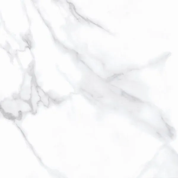С0004526 (1)
