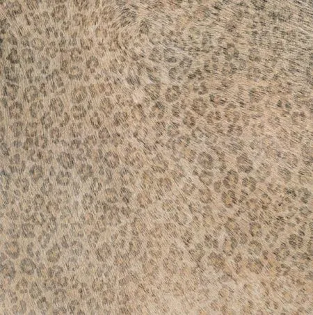 Керамогранит CAVALLINO LEOPARD (изображение)