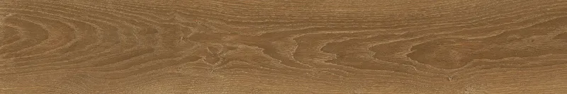 610010001621