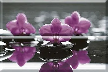 Панно Composicion Wellness Purple 01