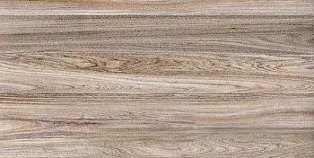 Настенная плитка Wood (TWU09WOD404)