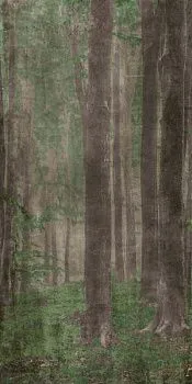 Керамогранит W&S D+ WOODS A (PF60009507)
