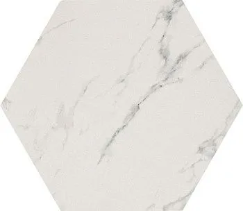 Керамогранит CP MARMOKER STATUARIO GRIGIO LUCIDO ottagono (СП403Р)  59