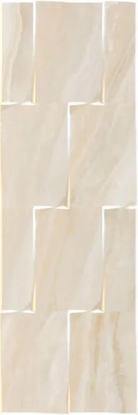 С0004251