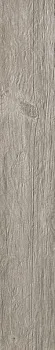Керамогранит Axi Silver Fir (D172)