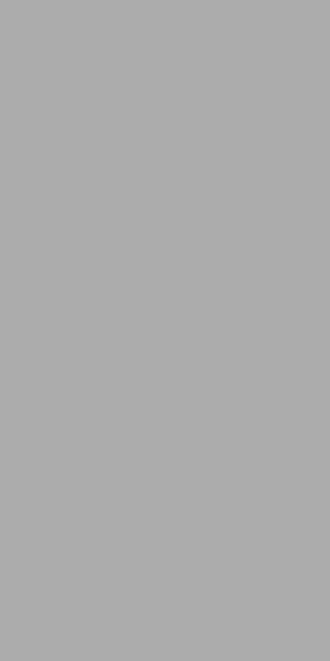 ELITE-GREY-1С