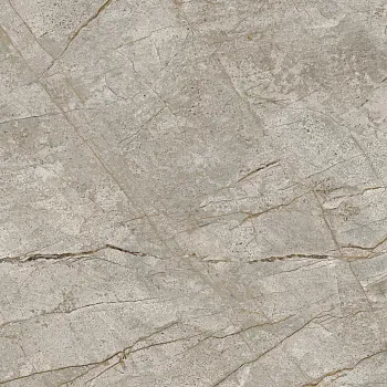 Керамогранит Empire Silver Root Rett (610010002180) 80х80