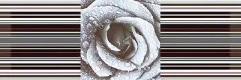 Декор Decor Rose 02