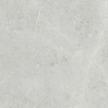 Керамогранит ALTAMURA SILVER PUL 60
