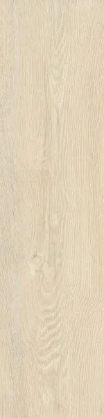 K952392R0001VTE0