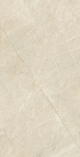 610010002342_1