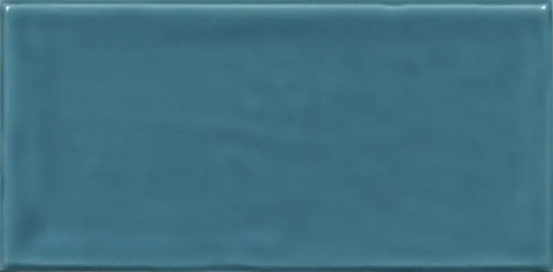 С0004696