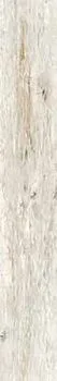 Керамогранит INWOOD IVORY (J87085)