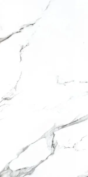 NTT9100_01