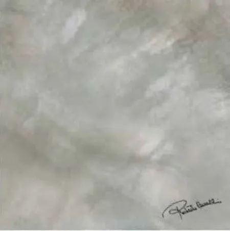 Керамогранит BRIGHT PEARL SILVER FIRMA RT 0531229 80 (изображение)