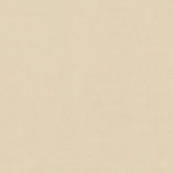Керамогранит Imagine White Nat Rett (610010000511)