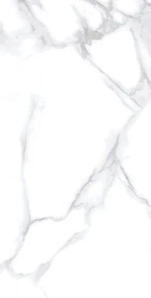 С0004528