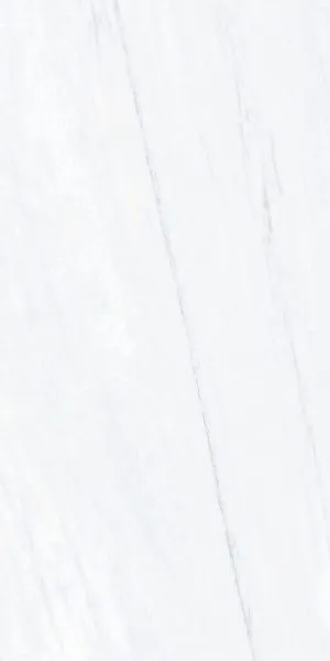 NTT9801_01