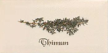 Декор Biselado Decor Crema Thimun