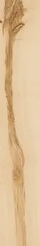 Керамогранит Element Wood Acero Nat Rett (610010001088)
