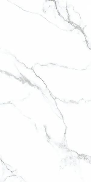 N20419_1