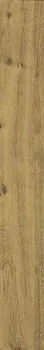 Керамогранит Treverkhome Olmo MKLH