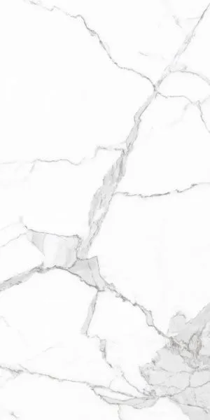 E13072-1