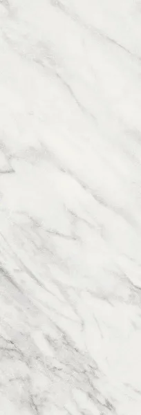 С0004242