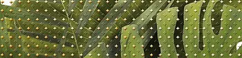 Бордюр Tropicana (TC1C021DT)