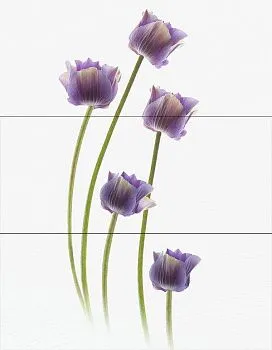 Декор WIND SARA Decor