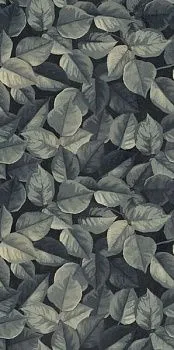 Керамогранит WIDE&STYLE MINI FOLIAGE R (PF60008438)