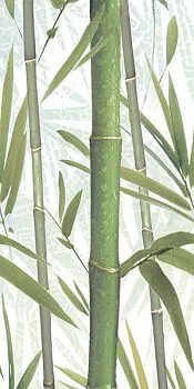 Декор Bamboo 2 DW9BMB204