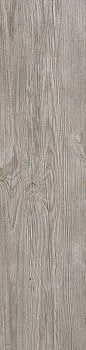 Керамогранит Axi Silver Fir (AS3D)