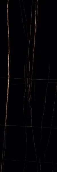 SAHARA BLACK_F1