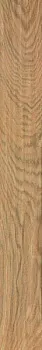 Керамогранит Etic Rovere (AJ8J)