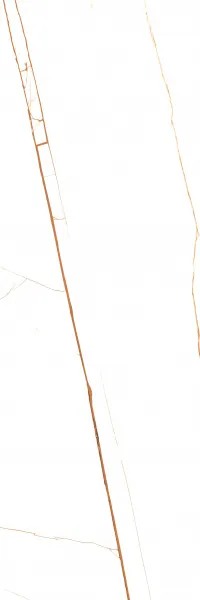 SPIDER BROWN_F2