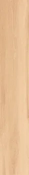 Керамогранит JUST COLOR Honey (58602N)