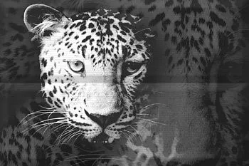 Панно Composicion Leopard