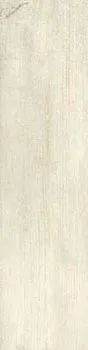Декор SIGNORIA FRASSINO NAT RETT FIRMA 05575