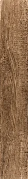 Керамогранит RAGUSA UMBER 20х120