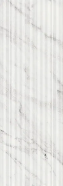 С0004243