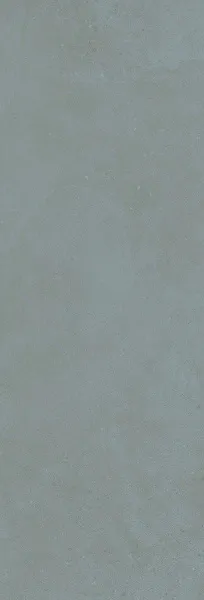 С0004233