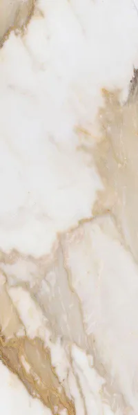 С0004246