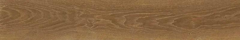 610010001621