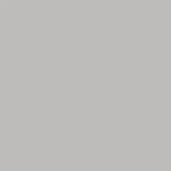Вставка Retro Silver TOZZ  TOR6