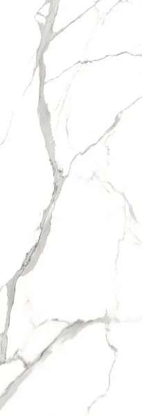 STATUARIO VENATO_F1